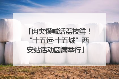 肉夹馍喊话荔枝鲜！“十五运·十五城”西安站活动圆满举行