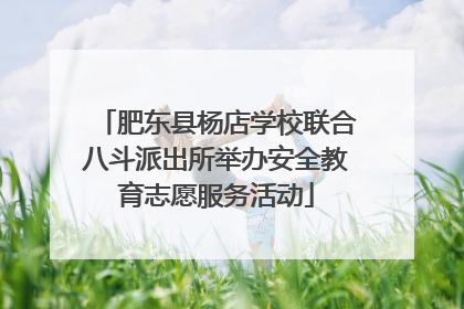 肥东县杨店学校联合八斗派出所举办安全教育志愿服务活动