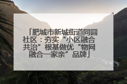 肥城市新城街道同圆社区：夯实“小区融合共治”根基做优“物网融合一家亲”品牌