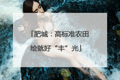 肥城：高标准农田绘就好“丰”光