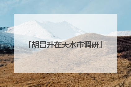 胡昌升在天水市调研
