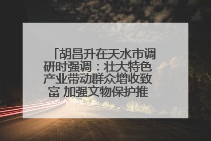 胡昌升在天水市调研时强调：壮大特色产业带动群众增收致富 加强文物保护推动文化创新发展