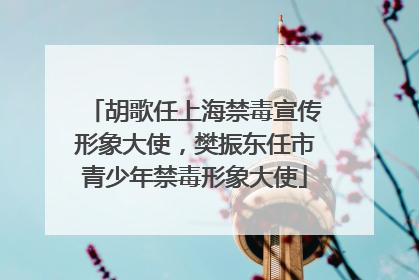 胡歌任上海禁毒宣传形象大使，樊振东任市青少年禁毒形象大使