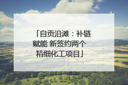自贡沿滩：补链赋能 新签约两个精细化工项目