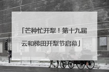 芒种忙开犁！第十九届云和梯田开犁节启幕