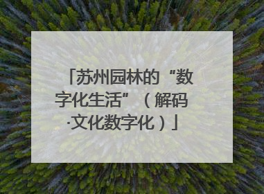 苏州园林的“数字化生活”（解码·文化数字化）