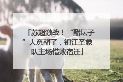 苏超激战！“醋坛子”大意翻了，镇江圣象队主场惜败宿迁