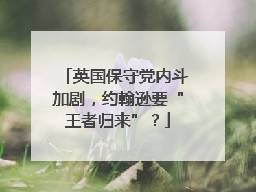 英国保守党内斗加剧，约翰逊要“王者归来”？