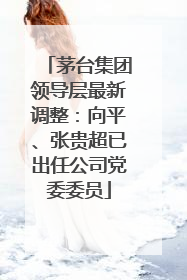茅台集团领导层最新调整：向平、张贵超已出任公司党委委员