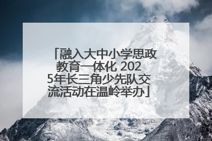 融入大中小学思政教育一体化 2025年长三角少先队交流活动在温岭举办