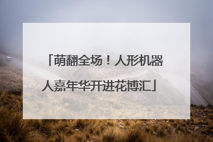 萌翻全场！人形机器人嘉年华开进花博汇
