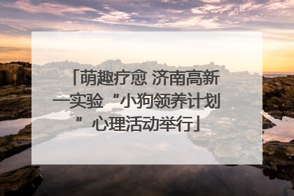 萌趣疗愈 济南高新一实验“小狗领养计划”心理活动举行