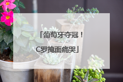 葡萄牙夺冠！C罗掩面痛哭