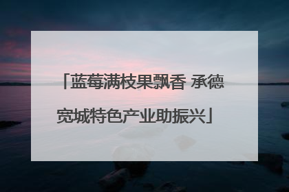 蓝莓满枝果飘香 承德宽城特色产业助振兴