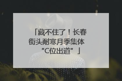 藏不住了！长春街头耐寒月季集体“C位出道”