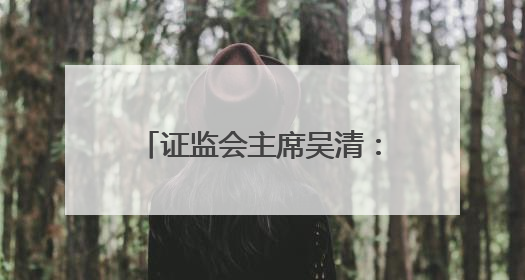 证监会主席吴清：更大力度培育壮大耐心资本、长期资本