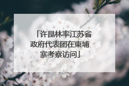 许昆林率江苏省政府代表团在柬埔寨考察访问