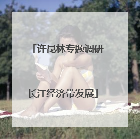 许昆林专题调研长江经济带发展