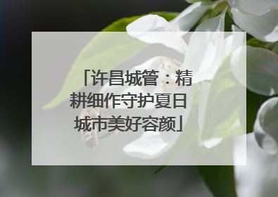 许昌城管：精耕细作守护夏日城市美好容颜