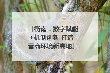 衡南：数字赋能+机制创新 打造营商环境新高地