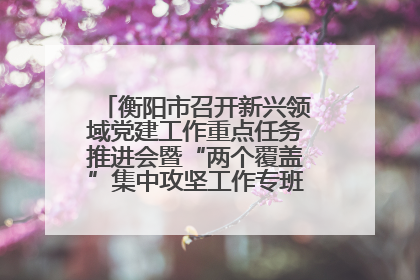 衡阳市召开新兴领域党建工作重点任务推进会暨“两个覆盖”集中攻坚工作专班 第一次会议