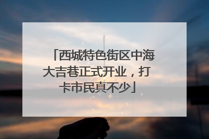西城特色街区中海大吉巷正式开业，打卡市民真不少
