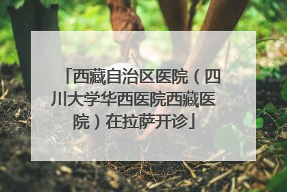 西藏自治区医院（四川大学华西医院西藏医院）在拉萨开诊