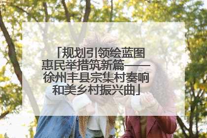 规划引领绘蓝图 惠民举措筑新篇——徐州丰县宗集村奏响和美乡村振兴曲