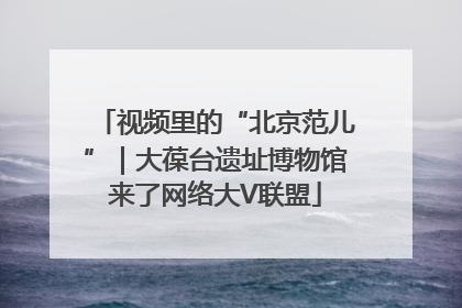 视频里的“北京范儿”｜大葆台遗址博物馆来了网络大V联盟