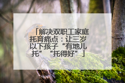 解决双职工家庭托育痛点：让三岁以下孩子“有地儿托”“托得好”