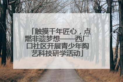 触摸千年匠心，点燃非遗梦想——西厂口社区开展青少年陶艺科技研学活动