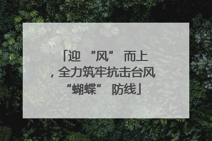 迎 “风” 而上，全力筑牢抗击台风 “蝴蝶” 防线
