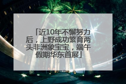 近10年不懈努力后，上野成功繁育两头非洲象宝宝，端午假期华东首展