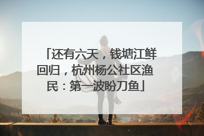 还有六天，钱塘江鲜回归，杭州杨公社区渔民：第一波盼刀鱼