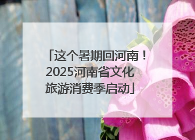 这个暑期回河南！2025河南省文化旅游消费季启动