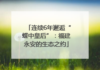 连续6年邂逅“蝶中皇后”：福建永安的生态之约
