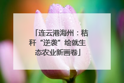 连云港海州：秸秆“逆袭”绘就生态农业新画卷