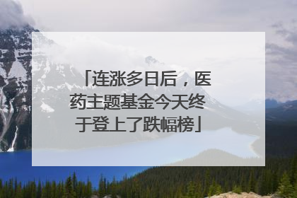 连涨多日后，医药主题基金今天终于登上了跌幅榜