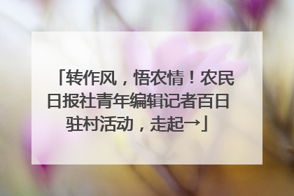 转作风，悟农情！农民日报社青年编辑记者百日驻村活动，走起→