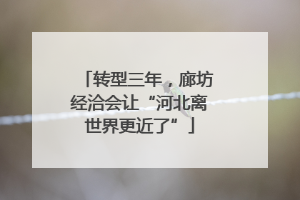 转型三年，廊坊经洽会让“河北离世界更近了”
