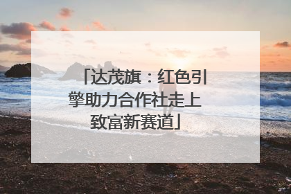 达茂旗：红色引擎助力合作社走上致富新赛道