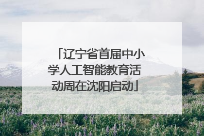 辽宁省首届中小学人工智能教育活动周在沈阳启动