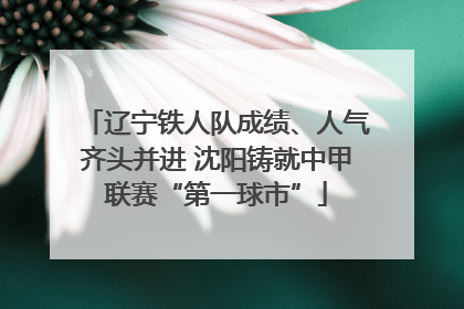 辽宁铁人队成绩、人气齐头并进 沈阳铸就中甲联赛“第一球市”