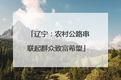 辽宁：农村公路串联起群众致富希望