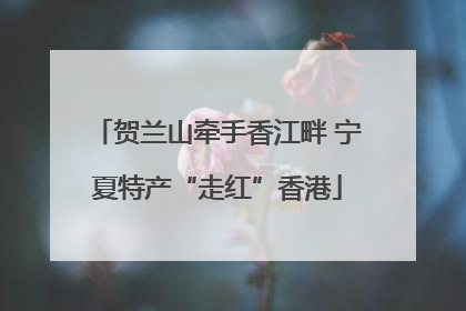 贺兰山牵手香江畔 宁夏特产“走红”香港
