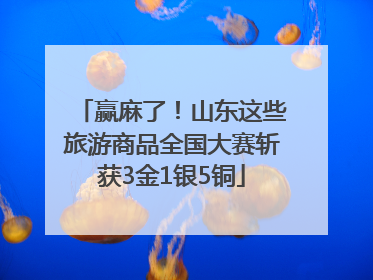 赢麻了！山东这些旅游商品全国大赛斩获3金1银5铜