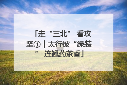 走“三北” 看攻坚①｜太行披“绿装” 连翘药茶香