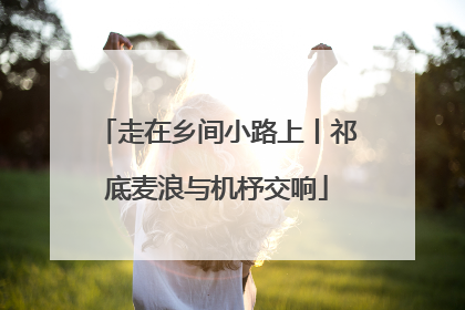 走在乡间小路上丨祁底麦浪与机杼交响