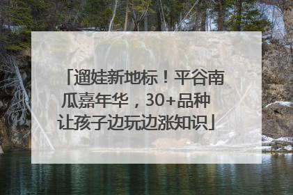遛娃新地标！平谷南瓜嘉年华，30+品种让孩子边玩边涨知识