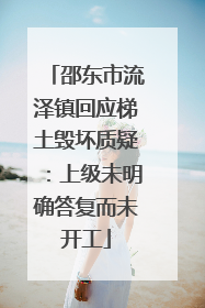 邵东市流泽镇回应梯土毁坏质疑：上级未明确答复而未开工